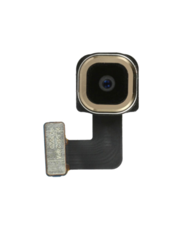Back Camera for Galaxy Tab A 8.4" (T307 / 2020)