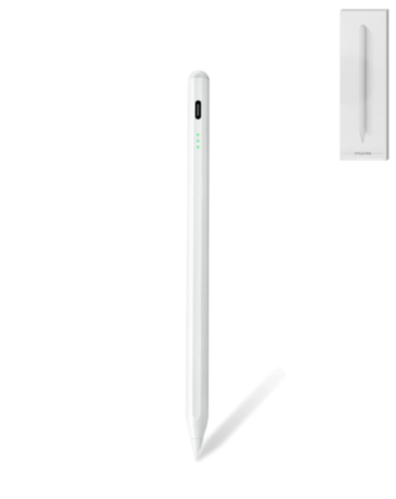 Universal Active Stylus Pen for All iPad Models (Since 2018) (Only Ground Shipping)