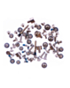 Complete Screw Set for iPhone 13