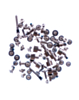 Complete Screw Set for iPhone 13 Pro