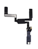 Bluetooth Flex Cable for iPhone Air
