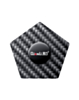 QianLi Carbon Fiber Prying Tool - Model A (Not Returnable)