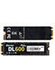 Derlar DL-600 NGFF M.2 2280 256GB SSD Solid State Drive