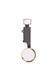 Grab the wholesale deals on the gold home button flex cable for iPhone SE 2020, iPhone 8 Plus, and iPhone 8 – for cosmetic use only.