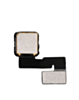 Back Camera for iPad Pro 12.9" 1st Gen (2015) / iPad 5 / Mini 4 / Mini 5 / Air 2 / Air 3 / iPad 6 (2018) / iPad 7 (2019) / iPad 8 (2020) / iPad 9 (2021)