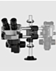 LuoWei Xuanjia Dual Axis Double Suspension Microscope Swing Arm (Only Ground Shipping)
