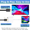 USB C Digital AV Multiport Adapter (Only Ground Shipping)