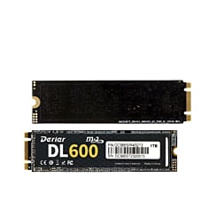 Derlar DL-600 NGFF M.2 2280 1TB SSD Solid State Drive