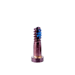 Purchase the pack of 10 rose gold bottom screws for iPhone SE 2020, iPhone 8 Plus, 8, 7 Plus, and 7.