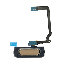 Stock up on the gold fingerprint sensor with flex cable for Galaxy S5.