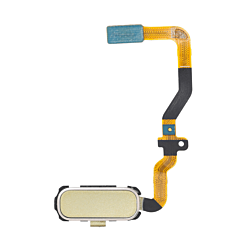 Grab wholesale deals on the fingerprint sensor with flex cable for Galaxy S7 in Gold.