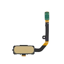 Grab wholesale deals on the home button flex cable for Galaxy S7 Active in Gold.