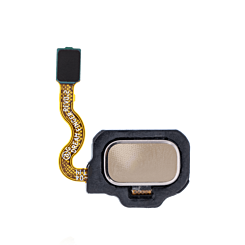 Fingerprint Sensor with Flex Cable for Galaxy S8+ / S8 (MAPLE GOLD)