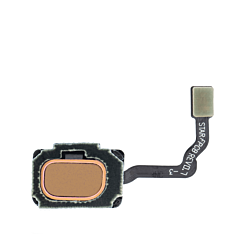 Fingerprint Sensor with Flex Cable for Galaxy S9+ / S9 (GOLD)