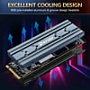 Derlar DL-770 1TB M.2 NVME PCIe 4.0 SSD w/ Heatsink for PlayStation 5 Series (Supports 8K Gaming)