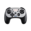 Dobe Panda Style Wireless Controller with Protective Case for Switch / PC / PlayStation 3 / 4 (Only Ground Shipping)