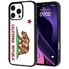 Printing Aluminum Plate Case - CALIFORNIA REPUBLIC for iPhone 16 Pro (Only Ground Shipping)