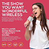Light Up Karaoke Microphone Speaker - SILVER (Only Ground Shipping)