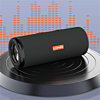 LDNIO BTS13 BT Bass Mini Waterproof Portable 5.3 Bluetooth Speaker (2000 mAh) (Only Ground Shipping)