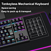 Mechanical Wired Full-Size 87 Key RGB Keyboard AK87 (Only Ground Shipping)
