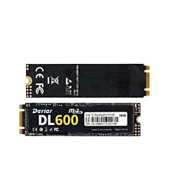Derlar DL-600 NGFF M.2 2280 256GB SSD Solid State Drive
