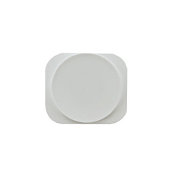 Home button for iPhone 5 / 5C (WHITE)