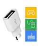 Google Pixel USB to C OEM Adapter (Only Ground Shipping)