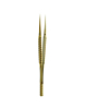 LuoWei Titanium Alloy Tweezers Bamboo Knot Style - Straight (GOLD)