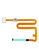 Purchase the Fingerprint Sensor Flex Cable for Galaxy A16 A166P 2024 in Green.