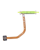 Fingerprint Sensor Flex Cable for Galaxy A16 (A166B / 2024) (LIGHT GREEN)