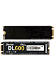 Derlar DL-600 NGFF M.2 2280 1TB SSD Solid State Drive