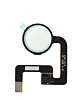 Home Button Flex Cable for Google Pixel / Pixel XL (WHITE)