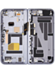 OLED Assembly with Frame for Google Pixel 10 Pro Fold (MOONSTONE) (Service Pack)