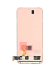 OLED Assembly without Frame for Google Pixel 9 (With Fingerprint Sensor) (Premium)