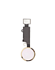 Grab the wholesale deals on the gold home button flex cable for iPhone SE 2020, iPhone 8 Plus, and iPhone 8 – for cosmetic use only.
