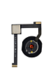 Home Button Flex Cable for iPad Mini 4 (WHITE)