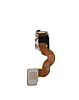 iWatch (40MM) Series 5 / SE (1st Gen) Crown Flex Cable