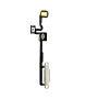 iWatch (44mm) Series 5 Power Button Flex Cable