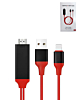 Display 2in1 Cable for HDMI & USB-A (HDTV / Charging & Data) (3ft) (Only Ground Shipping)