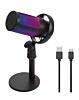 Wired RGB Desktop Computer Microphone (Only Ground Shipping)