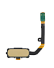 Grab wholesale deals on the home button flex cable for Galaxy S7 Active in Gold.