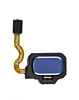 Fingerprint Sensor with Flex Cable for Galaxy S8+ / S8 (CORAL BLUE)