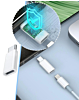 USB L to USB C Converter Adapter (20W) (Only Ground Shipping)