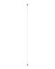 Antenna Cable for Moto Edge 50 Fusion 5G (XT2429 / 2024) / G96 (XT2531 / 2025) (WHITE) (Premium)