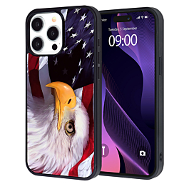 Printing Aluminum Plate Case - EAGLE for iPhone 15 Pro (Only Ground Shipping)